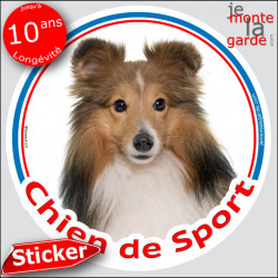 Berger Shetland fauve, sticker rond "Chien de Sport" 14 cm