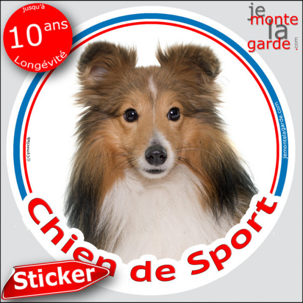 Berger Shetland fauve, sticker rond "Chien de Sport" Disque intérieur ou Extérieur sheltie Adhésif agility club photo