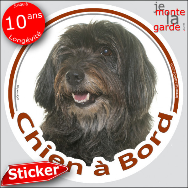 Berger des Pyrénées noir, sticker autocollant rond "Chien à Bord" Labrit disque photo adhésif vitre voiture