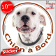 Dogue Argentin, sticker autocollant rond "Chien à Bord" Disque photo adhésif vitre voiture chien