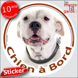 Dogue Argentin, sticker voiture rond "Chien à Bord" 14 cm