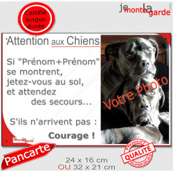 Photo Personnalisable, plaque humour PLURIEL "Attention au Chien, Jetez-Vous au Sol, courage" 2 tailles 3S