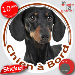 Teckel poils ras, sticker voiture rond "Chien à Bord" 2 tailles