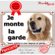 Golden Retriever Tête, Plaque portail "Je Monte la Garde, risques périls" panneau photo pancarte attention au chien