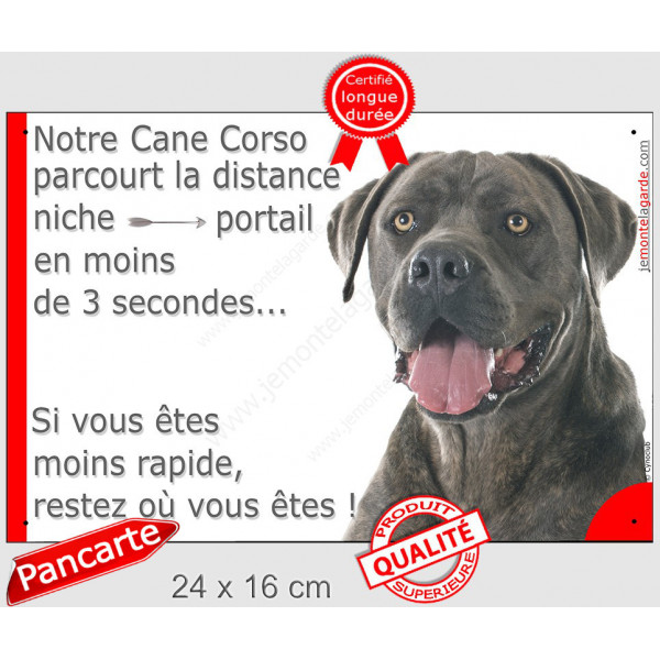 Cane Corso Italiano gris bleu, plaque humour "parcourt distance Niche-Portail 3 secondes" pancarte photo drôle attention chien