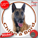 Berger Belge Malinois, sticker voiture rond "Chien à Bord" 2 tailles D