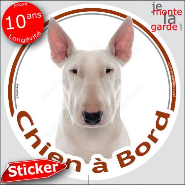 Bull Terrier tout blanc, sticker autocollant rond "Chien à Bord" disque adhésif voiture, vitre auto