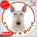 Bull Terrier blanc, sticker voiture rond "Chien à Bord" 24 cm