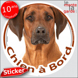 Rhodesian Ridgeback, sticker voiture rond "Chien à Bord" 14 cm