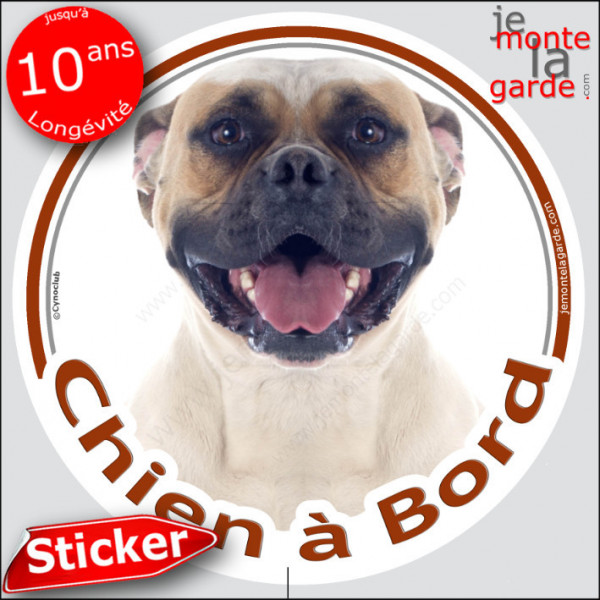 Bouledogue Américain Blanc et Fauve, sticker autocollant rond "Chien à Bord" Disque photo adhésif vitre voiture Boulam