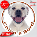 Bouledogue Américain tout blanc, sticker voiture rond "Chien à Bord" 14 cm