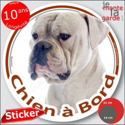 Bouledogue Américain blanc, sticker voiture rond "Chien à Bord" 2 tailles C