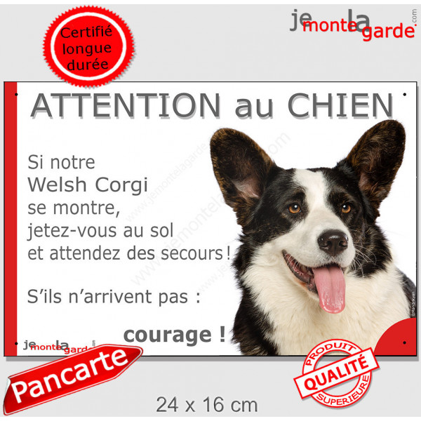 Welsh Corgi blanc et noir bringé, plaque portail humour "Attention au Chien, Jetez Vous au Sol, attendez secours, courage" photo