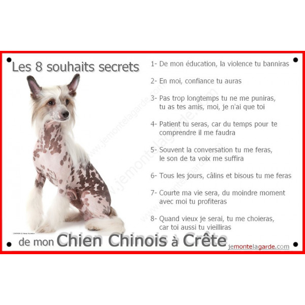 Chien Chinois à Crête Assis Pancarte Portail Affiche Panneau Entier Commandements éducation Attention Au Chien - 