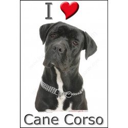 "I love Cane Corso" Sticker photo 16 cm C