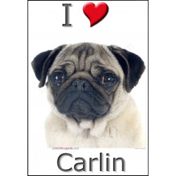 "I love Carlin" Sticker photo 16 x 11 cm