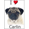 "I love Carlin" Sticker photo 16 x 11 cm