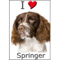 "I love Springer" sticker photo 16 x 11 cm ! C