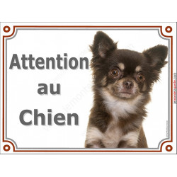 Chihuahua Marron à Poils Longs Tête Plaque Portail Attention Au Chien Panneau Affiche Pancarte