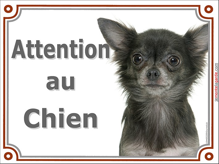 Chihuahua Gris Loup à Poils Longs Tête Plaque Portail Attention Au Chien Panneau Affiche Pancarte