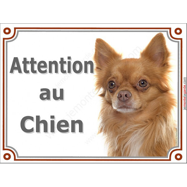 Chihuahua Caramel Chocolat Dilué à Poils Longs Tête Plaque Portail Attention Au Chien Panneau Affiche Pancarte