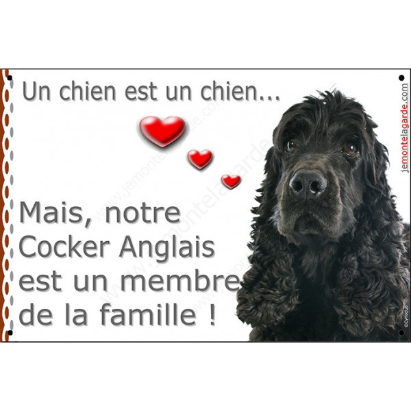 Cocker Anglais Noir, plaque "Un chien est Membre de la Famille" photo panneau idée cadeau cadre pancarte affiche