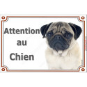 Carlin fauve, plaque portail "Attention au Chien" 2 tailles LUX D