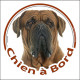 Dogue de Bordeaux face noire, sticker autocollant rond "Chien à Bord" disque photo face masque noire, adhésif voiture