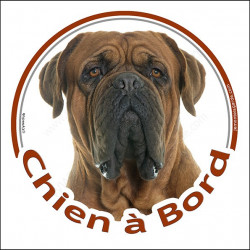 Dogue de Bordeaux face noire, sticker autocollant rond "Chien à Bord" disque photo face masque noire, adhésif voiture