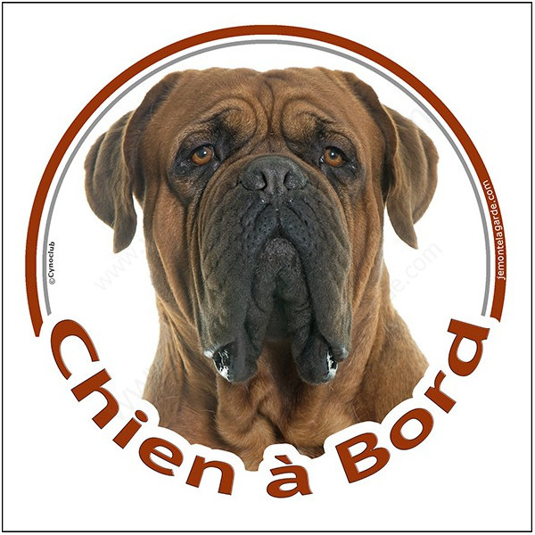 Dogue de Bordeaux face noire, sticker autocollant rond "Chien à Bord" disque photo face masque noire, adhésif voiture