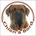 Dogue de Bordeaux, sticker rond "Chien à Bord" 15 cm - 3 ans