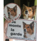 photo client - Border Collie tricolore Tête, plaque portail "Je Monte la Garde, risques et périls" pancarte, panneau 3 couleurs 