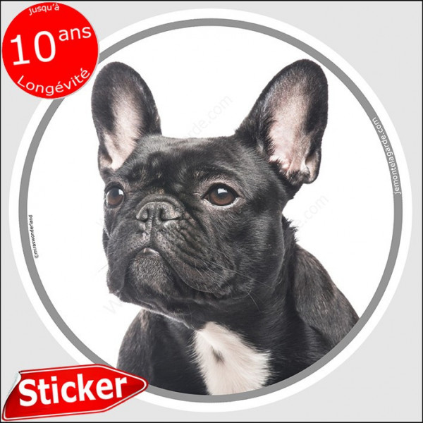 Bouledogue Français noir bringé, sticker autocollant rond "photo" disque intérieur ou Extérieur adhésif chien résiste intempérie