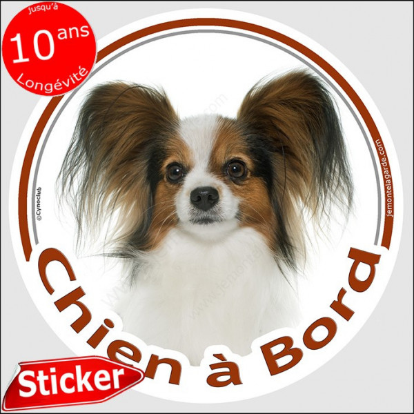 Epagneul Continental Papillon, sticker autocollant rond "Chien à Bord" disque adhésif vitre voiture marron photo