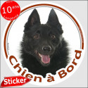 Schipperke, sticker voiture rond "Chien à Bord" 15 cm