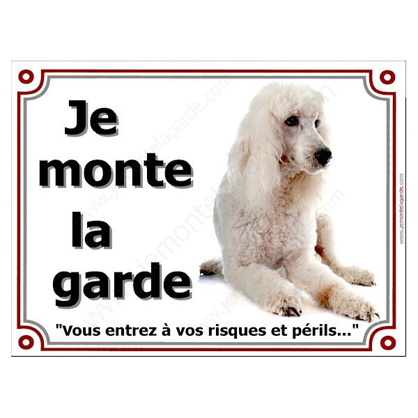 Caniche Blanc Couché, plaque portail "Je Monte la Garde, risques périls" pancarte panneau photo affiche