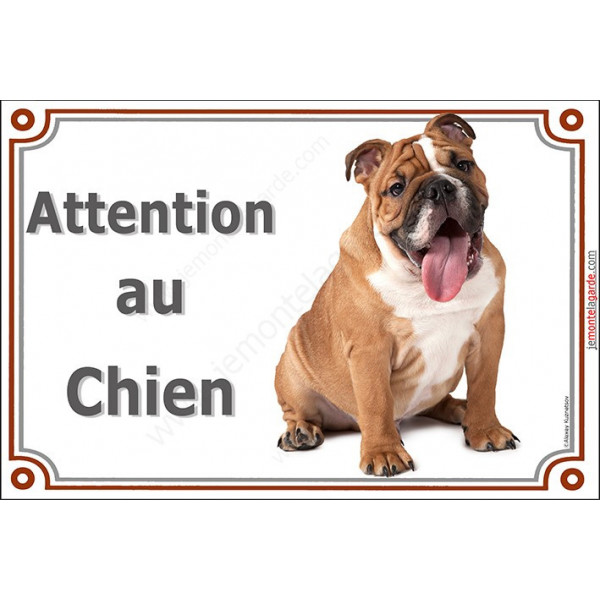 Plaque portail Attention au Chien, Bulldog Anglais fauve marron Assis, pancarte panneau photo