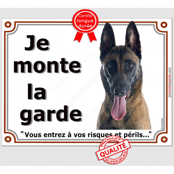 Berger Belge Malinois Tête, Plaque portail "Je Monte la Garde, risques périls" panneau photo affiche pancarte attention au chien