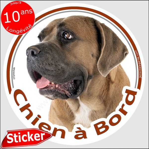 Cane Corso fauve, sticker autocollant rond "Chien à Bord" Disque adhésif voiture photo