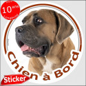 Cane Corso fauve, sticker voiture "Chien à Bord" 15 cm