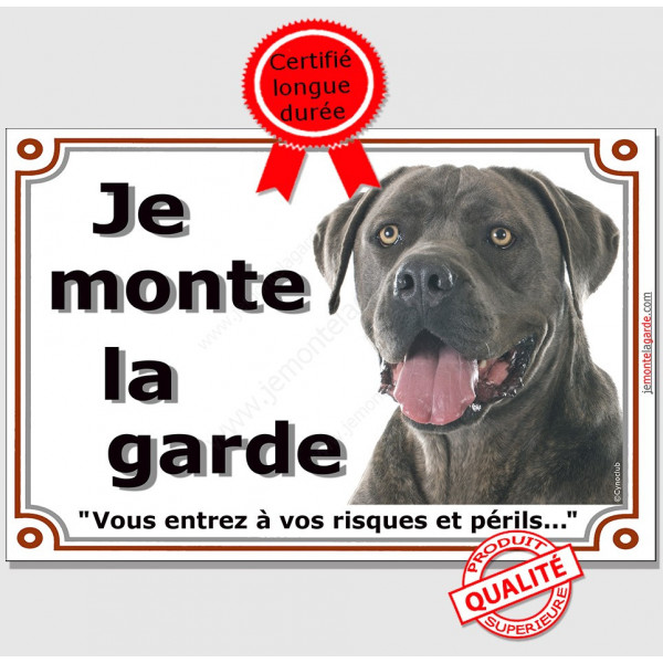 Cane Corso gris, plaque portail "Je Monte la Garde, risques et périls" pancarte panneau bleu bringué attention au chien photo