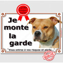 Amstaff Fauve, plaque portail "Je Monte la Garde" 2 tailles LUX D