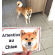 Plaque portail 2 tailles Attention au Chien, Shiba Inu fauve Tête pancarte panneau orange marron