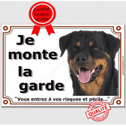 Rottweiler Tête, plaque portail "Je Monte la Garde, risques et périls" pancarte, panneau attention au chien photo Rott