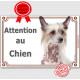 Plaque portail LUXE Attention au Chien, Chien Nu Chinois à Crête Tête, panneau pancarte photo affiche