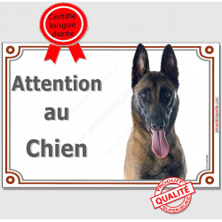 Berger Belge Malinois Tête, plaque "Attention au Chien" pancarte panneau photo race