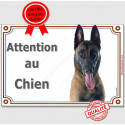 Berger Belge Malinois, plaque portail "Attention au Chien" 2 tailles LUX D