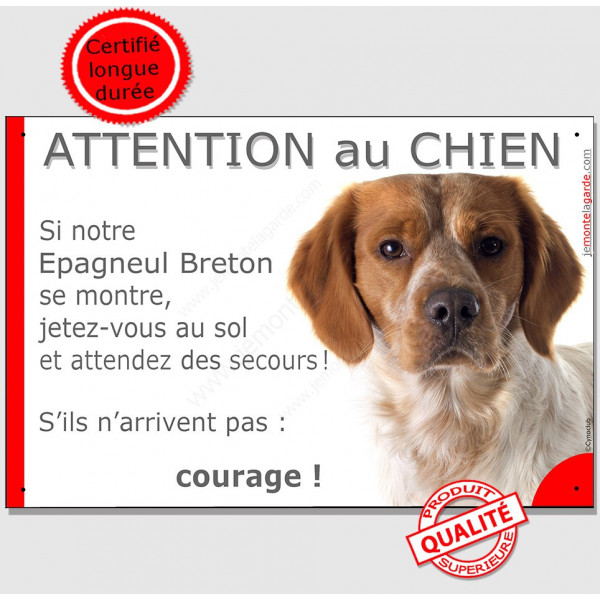 Epagneul Breton orange et blanc, plaque portail humour "Attention au Chien, Jetez Vous au Sol, courage" panneau pancarte photo