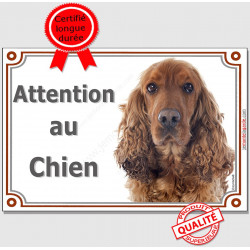 Cocker Anglais Golden, plaque portail "Attention au Chien" 24 cm LUX