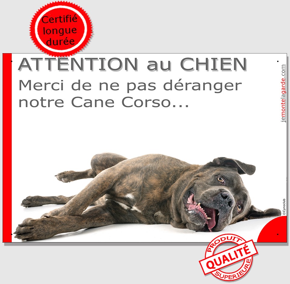Pubblimania CHIEN CORSO attention au chien, Plaque panneau aluminium 3 mm  (Cm 20x30) : : Bricolage